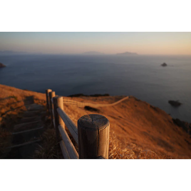 Sony Lente FE 24-70mm F2,8 GM II   - SEL2470GM2 19