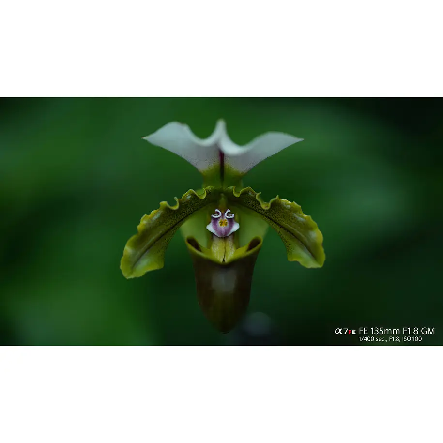 Sony Lente FE 135mm F1.8 GM – SEL135F18GM 17
