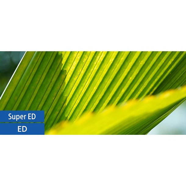 Sony Lente FE 135mm F1.8 GM – SEL135F18GM 20