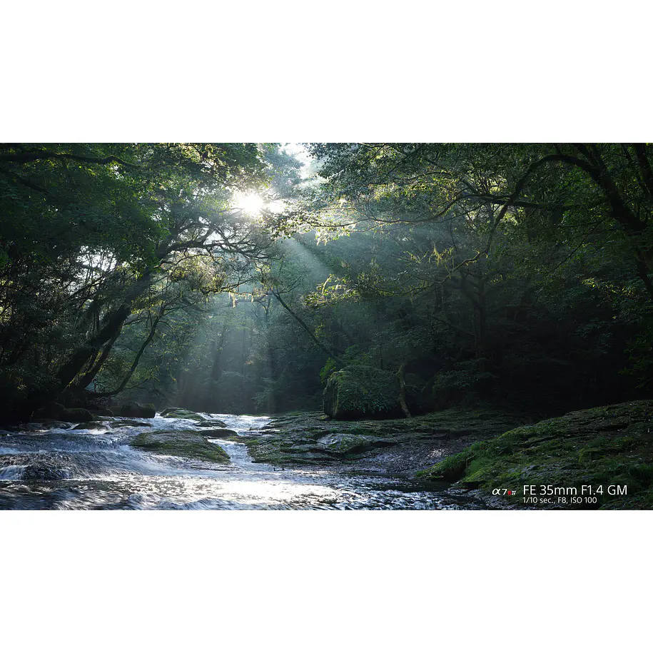 Sony Lente FE 35mm F1.4 GM 20