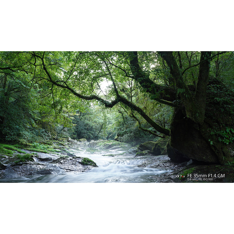Sony Lente FE 35mm F1.4 GM 23