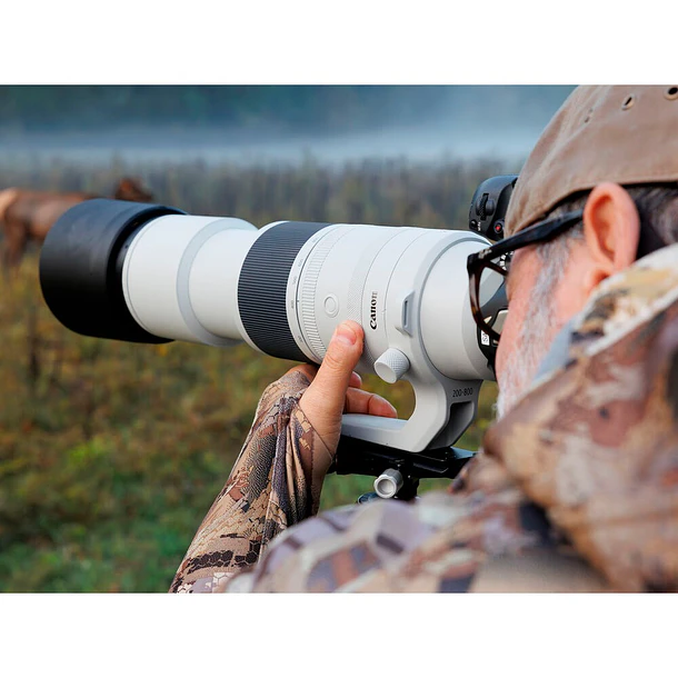 Canon RF 200-800mm f/6.3-9 IS USM 11