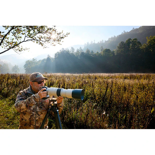 Canon RF 200-800mm f/6.3-9 IS USM 12