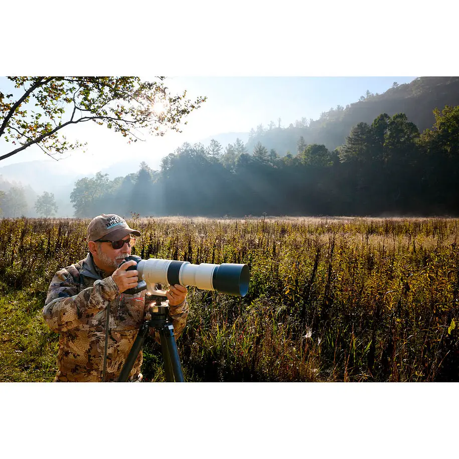 Canon RF 200-800mm f/6.3-9 IS USM 12