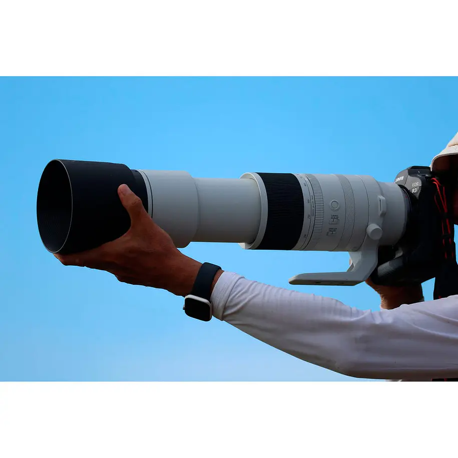 Canon RF 200-800mm f/6.3-9 IS USM 16