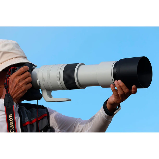 Canon RF 200-800mm f/6.3-9 IS USM 18