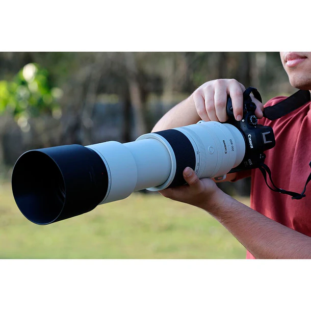 Canon RF 200-800mm f/6.3-9 IS USM 22