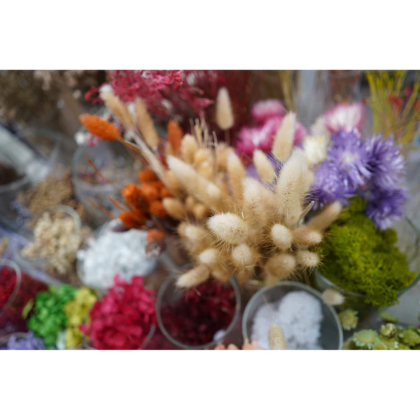 Sony Lente  FE 24mm F2.8 G    SEL24F28G 10