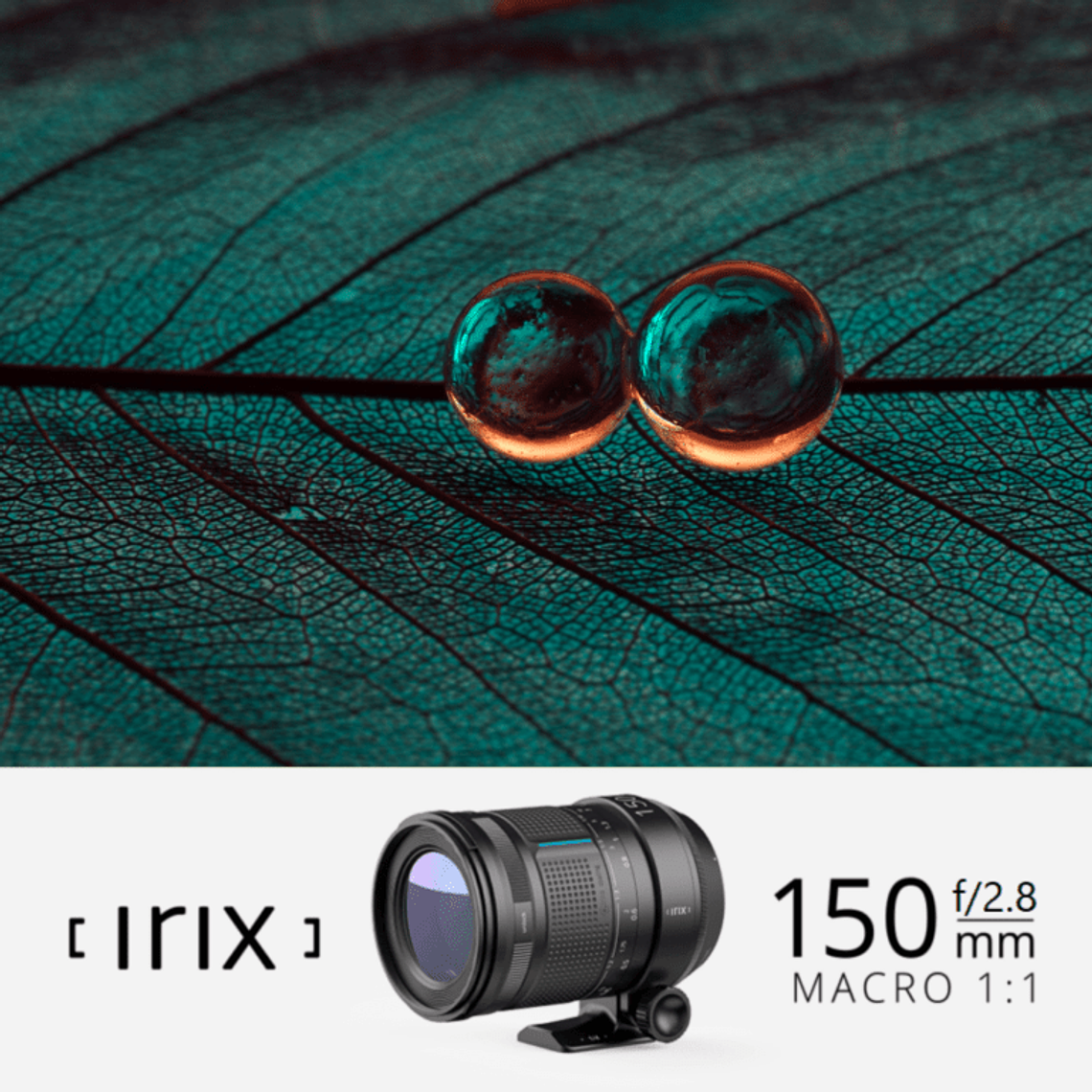 Irix Lente 150mm f/2.8 Dragonfly Macro 1:1 Para Cámara Pentax 12