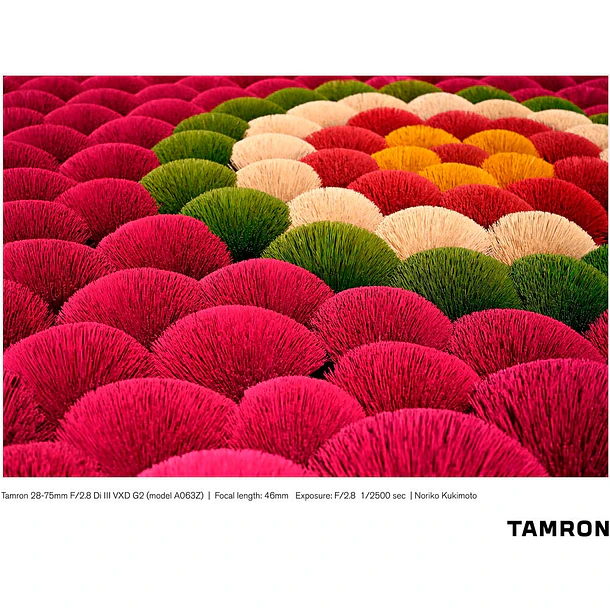 Tamron Lente 28-75 f/2/2,8 Di III VXD G2 para Nikon Z 7