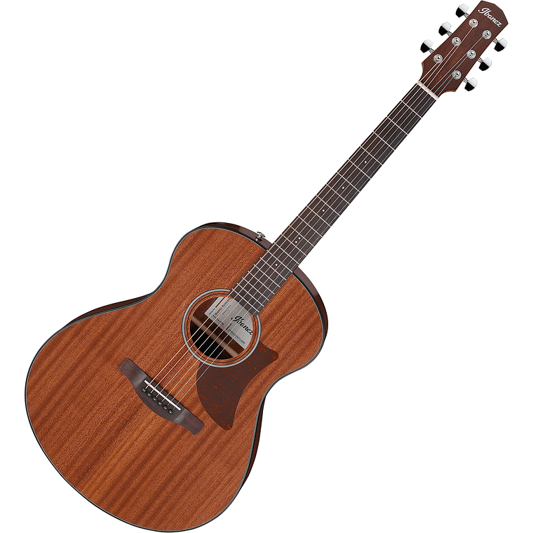 Ibanez Aam54 Opn Guitarra Acustica Metal Ibanez 1