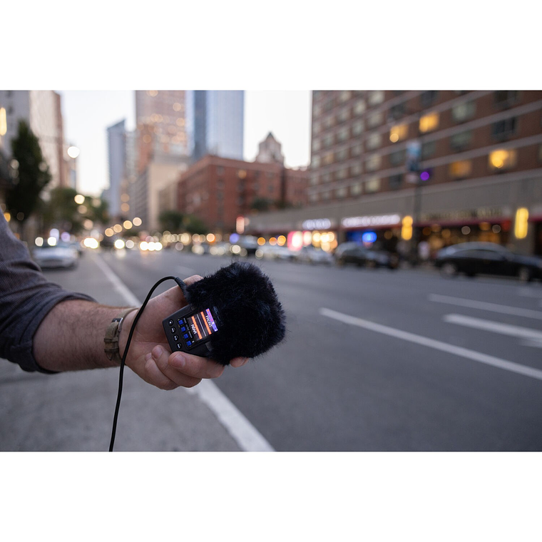 Zoom H2essential Grabadora  Multi-Mic 32-Bit Flotantes 15