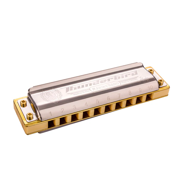 Hohner M201173x Armonica A Marine Band Thunderbird Hohner 1
