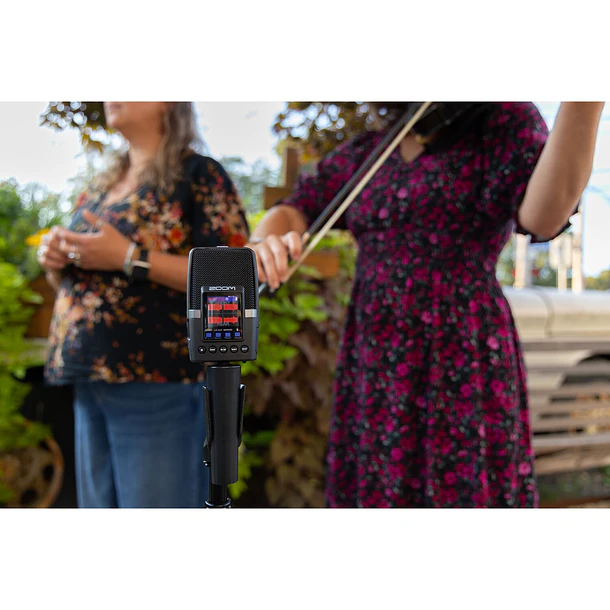 Zoom H2essential Grabadora  Multi-Mic 32-Bit Flotantes 19