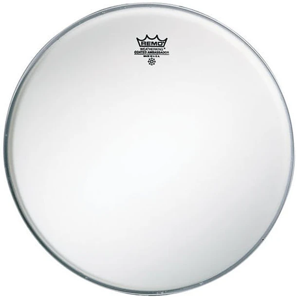 Remo Br-1120-00 Parche 20