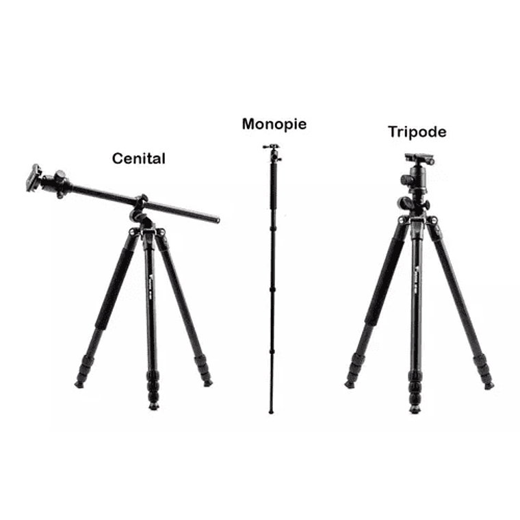 Weifeng Trípode Cenital y Monopie WT-5601 2