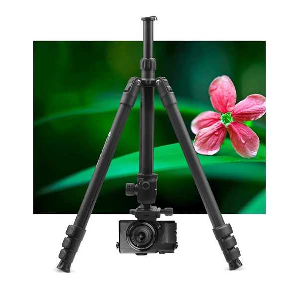 Weifeng WF6627 Trípode Para Fotografía Con Monopie 5