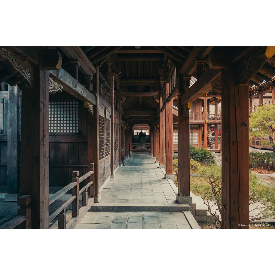 Schneider-Kreuznach x LK SAMYANG AF14-24 F2.8 FE Lente Autofoco Full-Frame Para Sony E 21