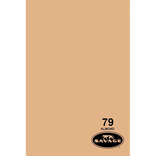 Savage Fondo Papel 2.7x11m 65 Colores Seamless 14