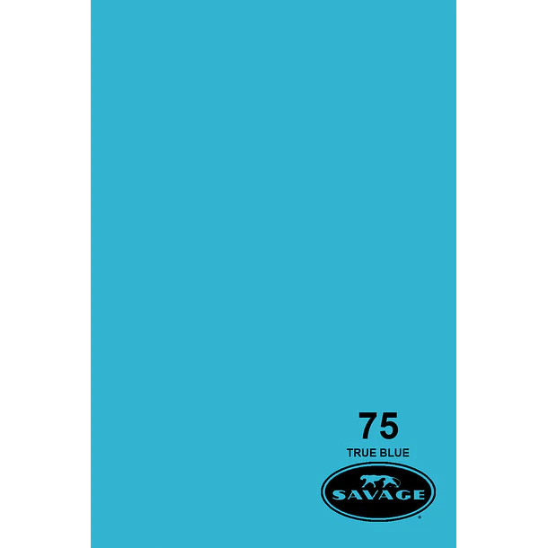 Savage Fondo Papel 2.7x11m 65 Colores Seamless 15