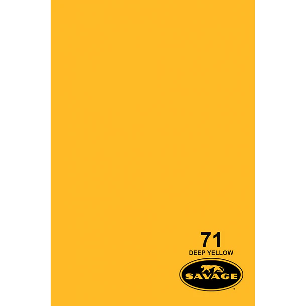 Savage Fondo Papel 2.7x11m 65 Colores Seamless 16
