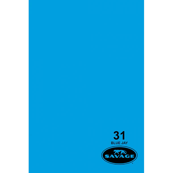 Savage Fondo Papel 2.7x11m 65 Colores Seamless 28