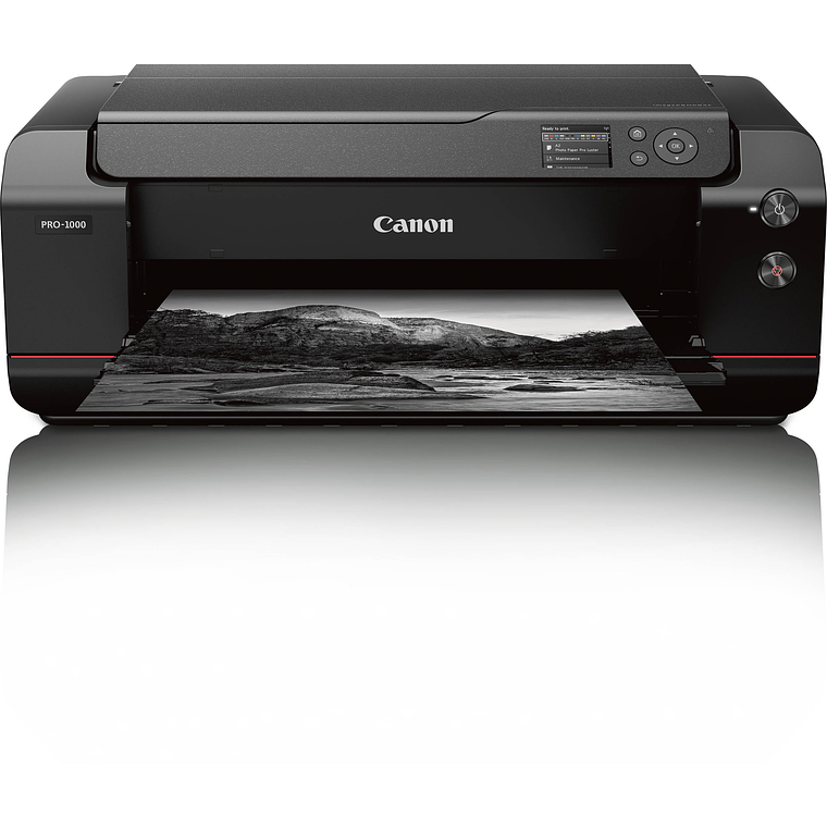 Canon PRO-1000 Impresora Profesional Fineart  12 Colores 42 cm Ancho 5