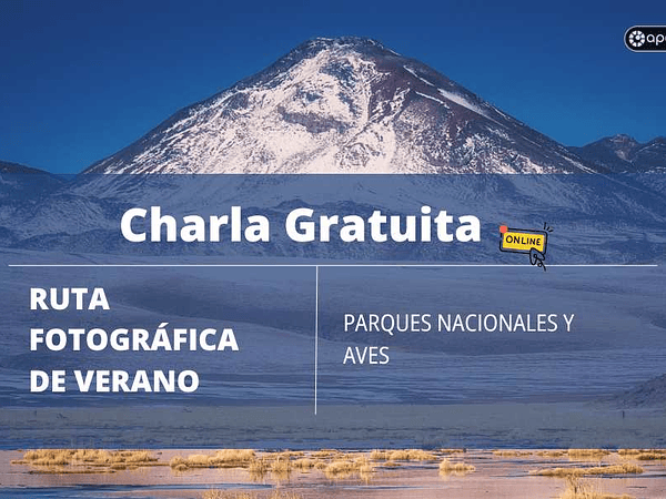 Charla Gratuita RUTA FOTOGRÁFICA DE VERANO: Parques Nacionales y Aves