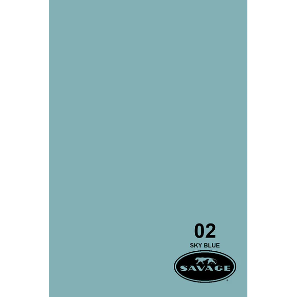 Savage Fondo Papel 1.3x11m 65 Colores Seamless 4