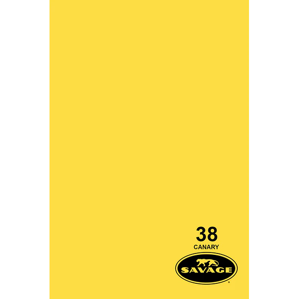 Savage Fondo Papel 1.3x11m 65 Colores Seamless 21