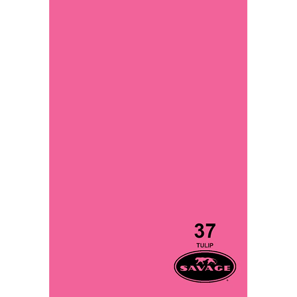 Savage Fondo Papel 1.3x11m 65 Colores Seamless 24