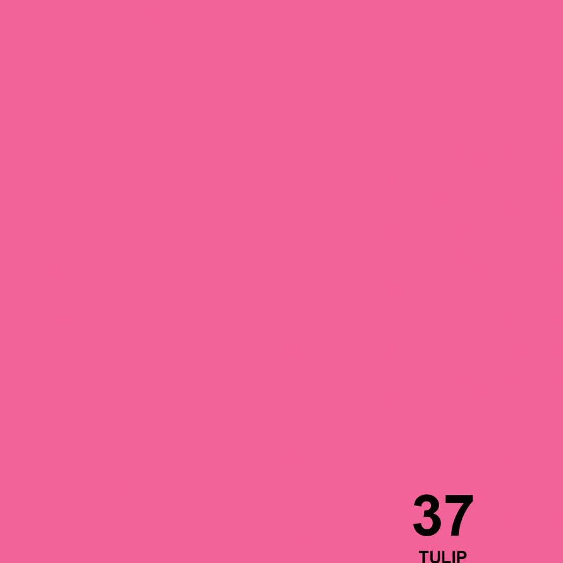 Savage Fondo Papel 1.3x11m 65 Colores Seamless 24