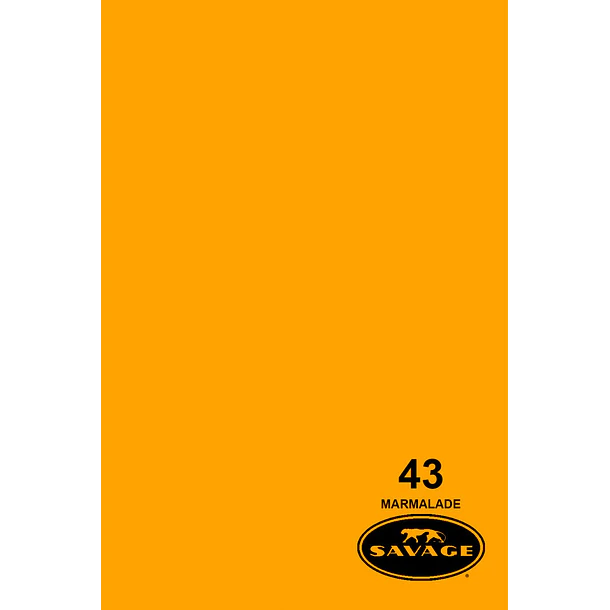 Savage Fondo Papel 1.3x11m 65 Colores Seamless 28