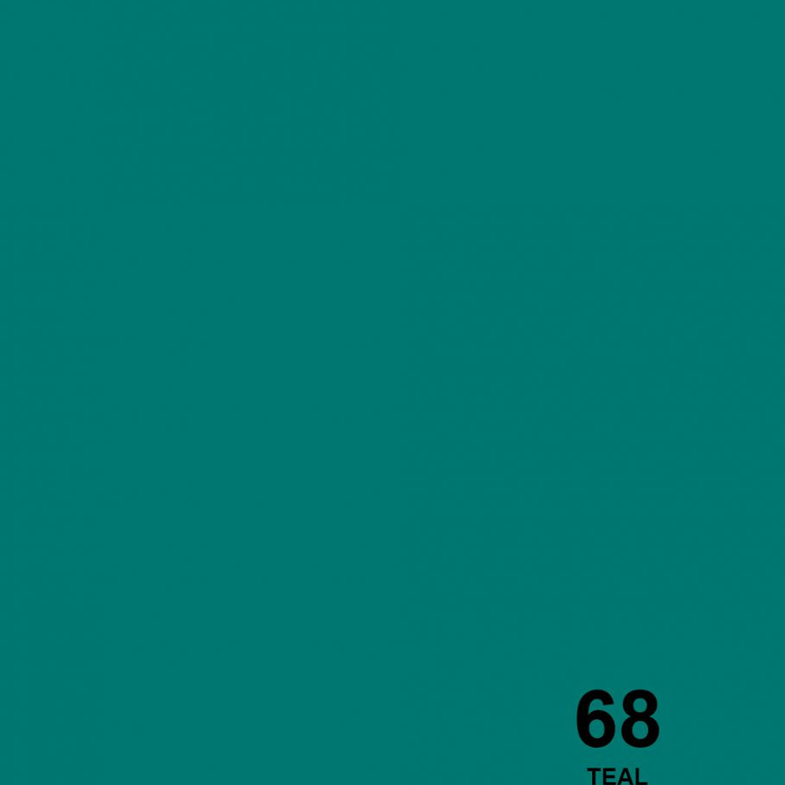 Savage Fondo Papel 1.3x11m 65 Colores Seamless 52