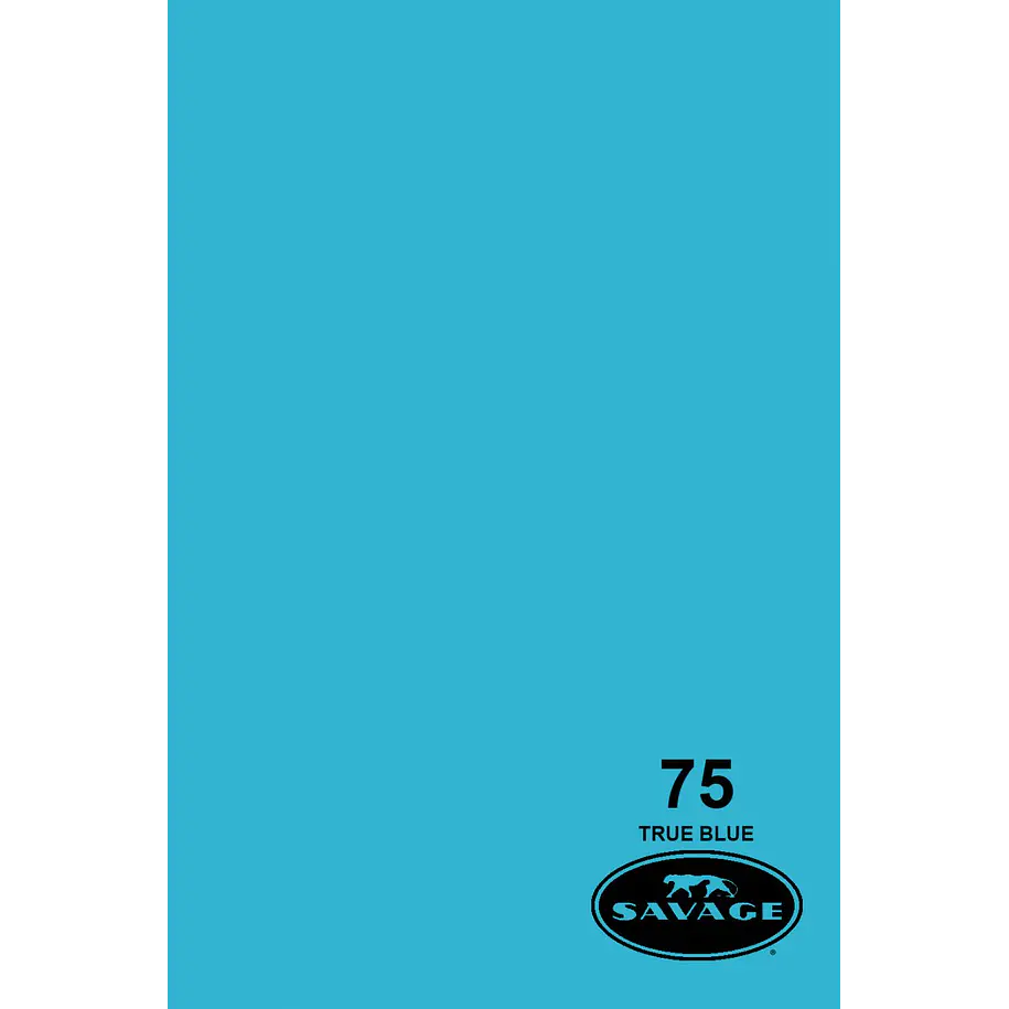 Savage Fondo Papel 1.3x11m 65 Colores Seamless 54