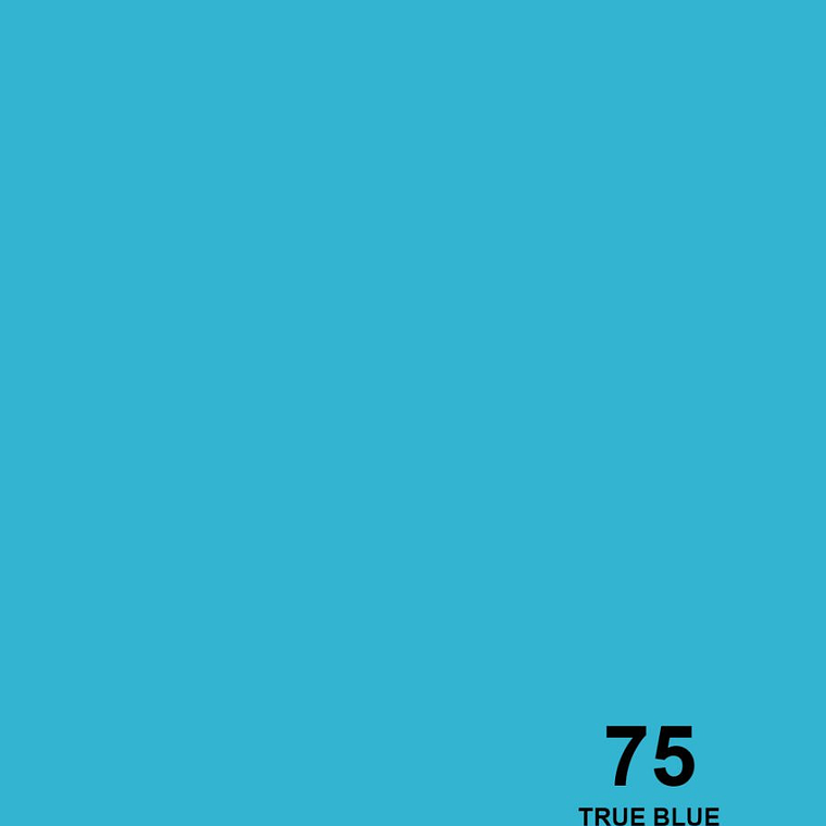 Savage Fondo Papel 1.3x11m 65 Colores Seamless 54