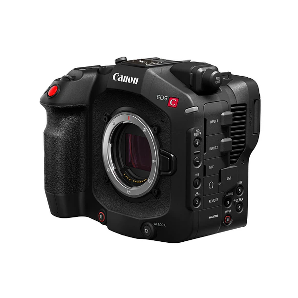 Canon EOS C80 6K Full-Frame Cinema 6
