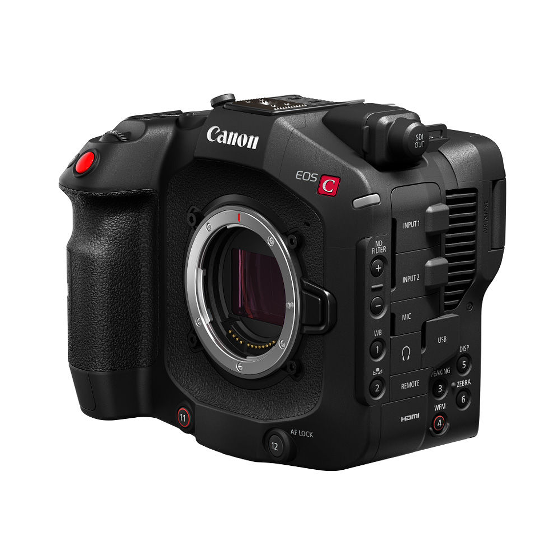 Canon EOS C80 6K Full-Frame Cinema 6