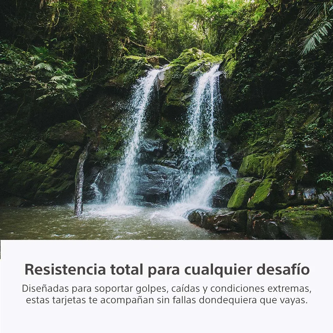 Sony Tarjeta de memoria 960 GB CFexpress Tipo A de la serie CEA-G 8