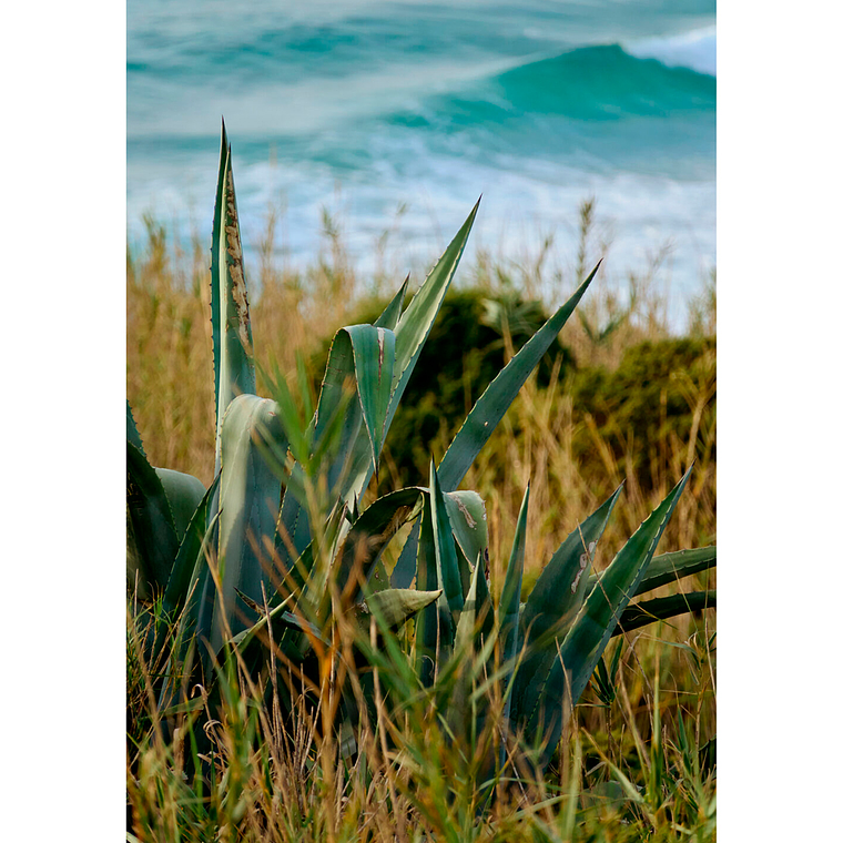 Sigma 16-300mm f/3.5-6.7 DC OS Contemporary Lente para Canon RF  11