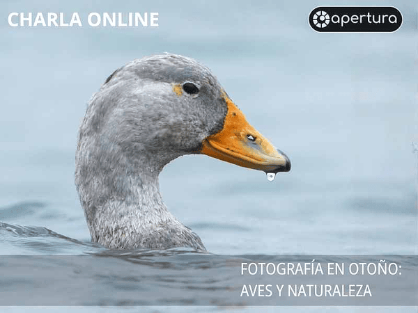 Charla Gratuita Online: Fotografía en Otoño AVES Y PAISAJES