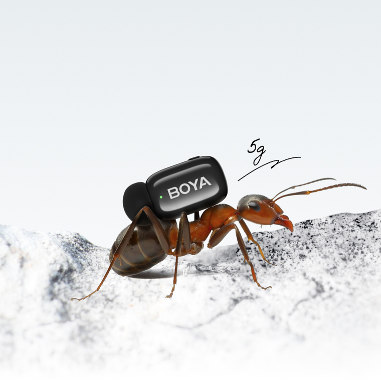 Boya Mini 2-06 Micrófono Inalámbrico Con IA Para Reducción de Ruido 4