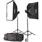 Godox MS300-F Kit de 2 Flash Estudio 300W Cada Uno Con Bolso y Trípodes - Miniatura 1