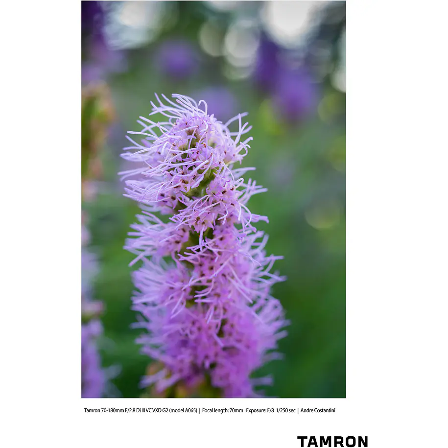 Tamron 70-180mm. f2,8 Di III VC, VXD, G2 para Sony Mirrorless 7
