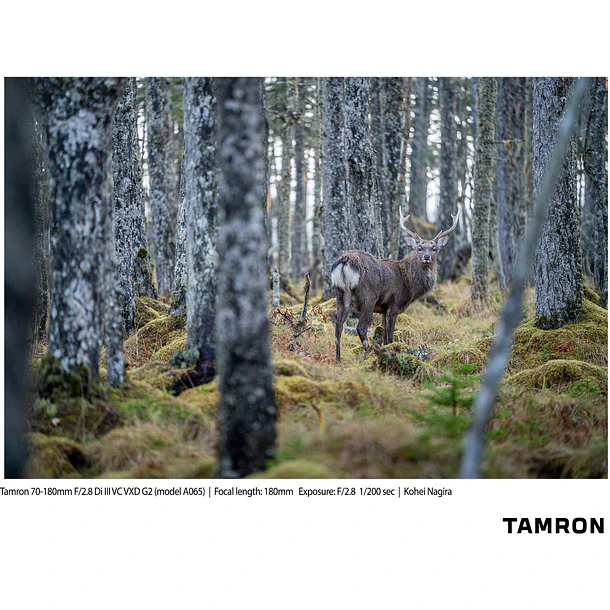 Tamron 70-180mm. f2,8 Di III VC, VXD, G2 para Sony Mirrorless 12