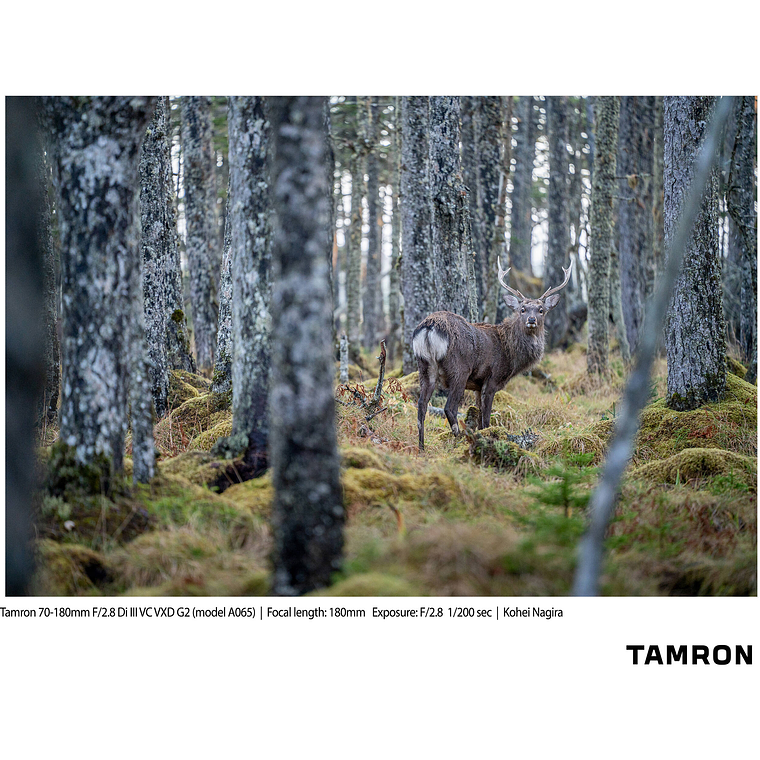 Tamron 70-180mm. f2,8 Di III VC, VXD, G2 para Sony Mirrorless 12