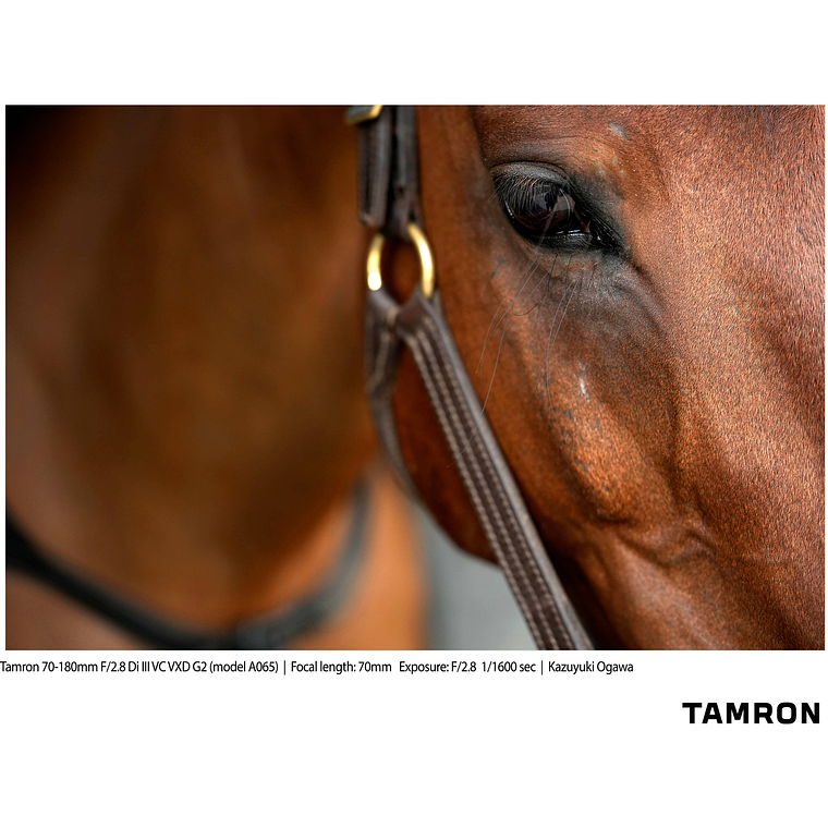 Tamron 70-180mm. f2,8 Di III VC, VXD, G2 para Sony Mirrorless 22