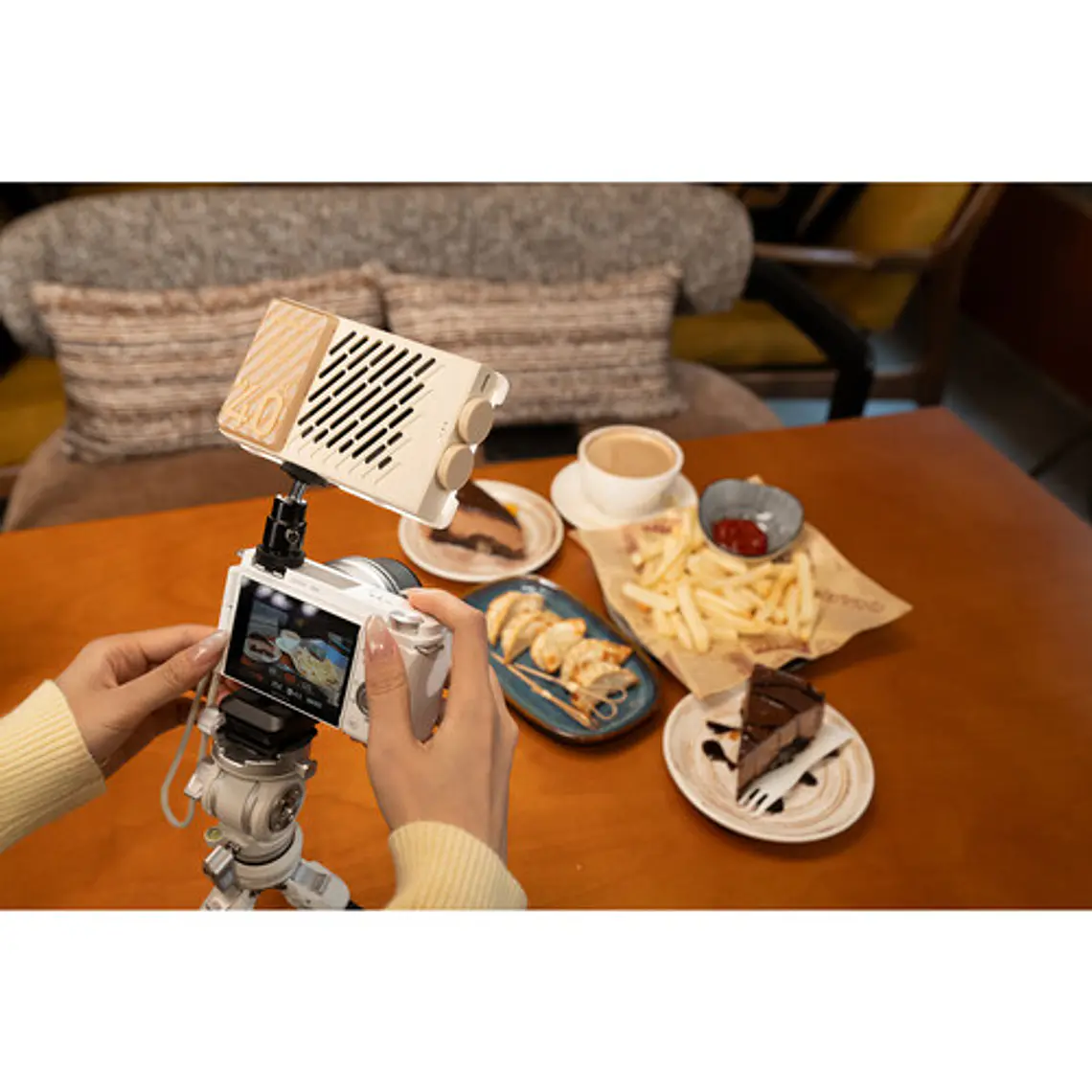 Zhiyun Fiveray M40 SE Combo Luz LED Bi-Color COMBO Kit 26