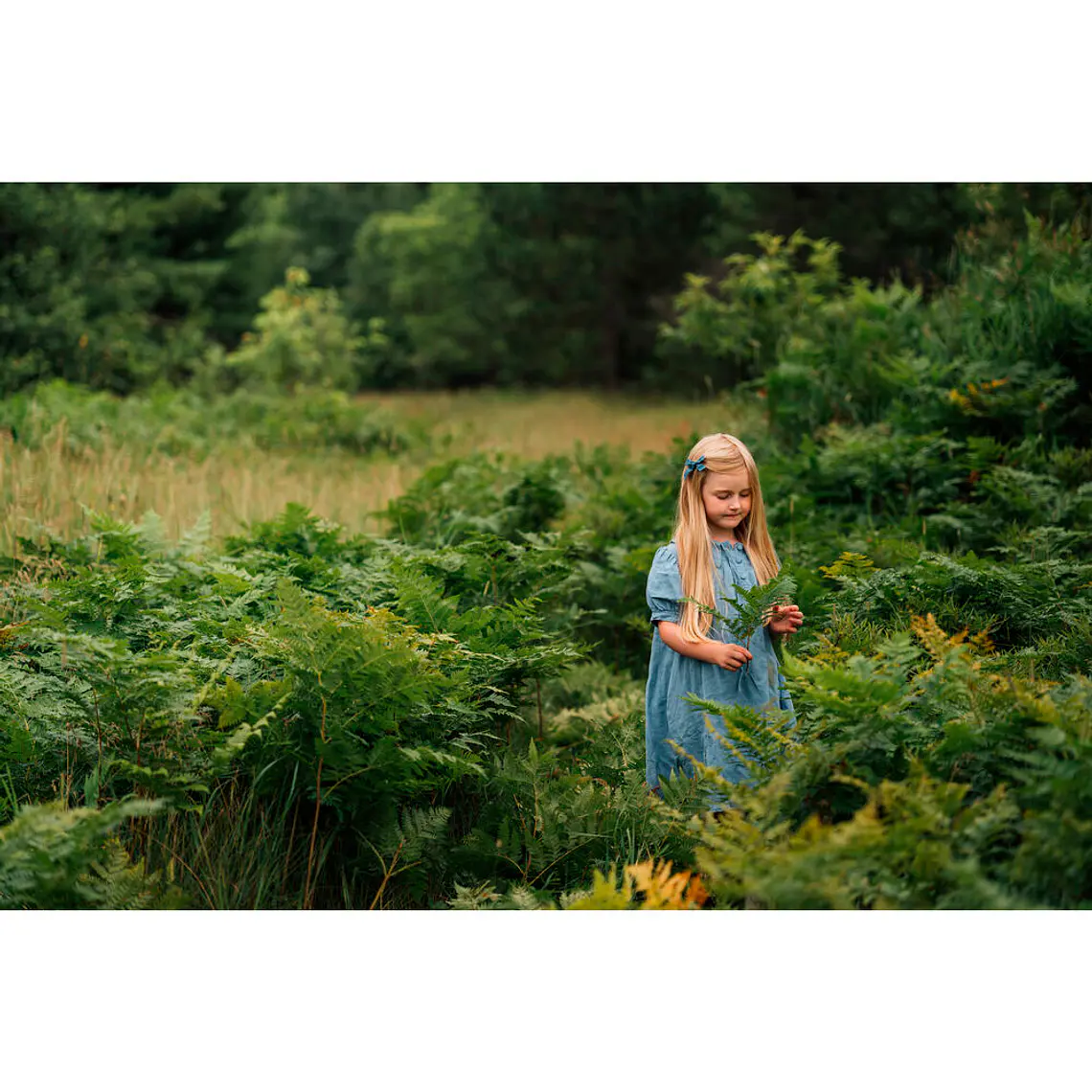 SIGMA AF28-105mm F2.8 DG DN ART Lente montura SONY-E / 366542 10