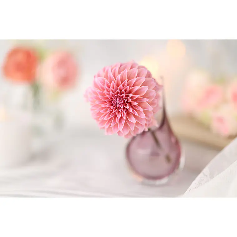 Canon  RF 85MM f/1.4 L VCM Lente Semi Tele Montura RF Full-Frame 11